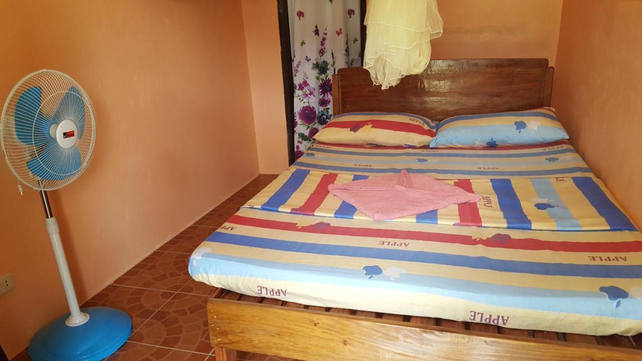 Trisha Lodging House San Vicente  Luaran gambar