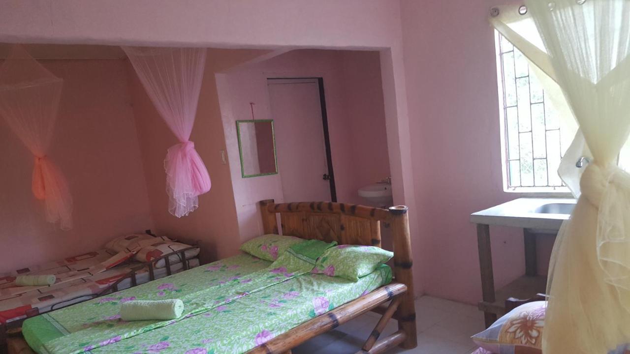 Trisha Lodging House San Vicente  Luaran gambar