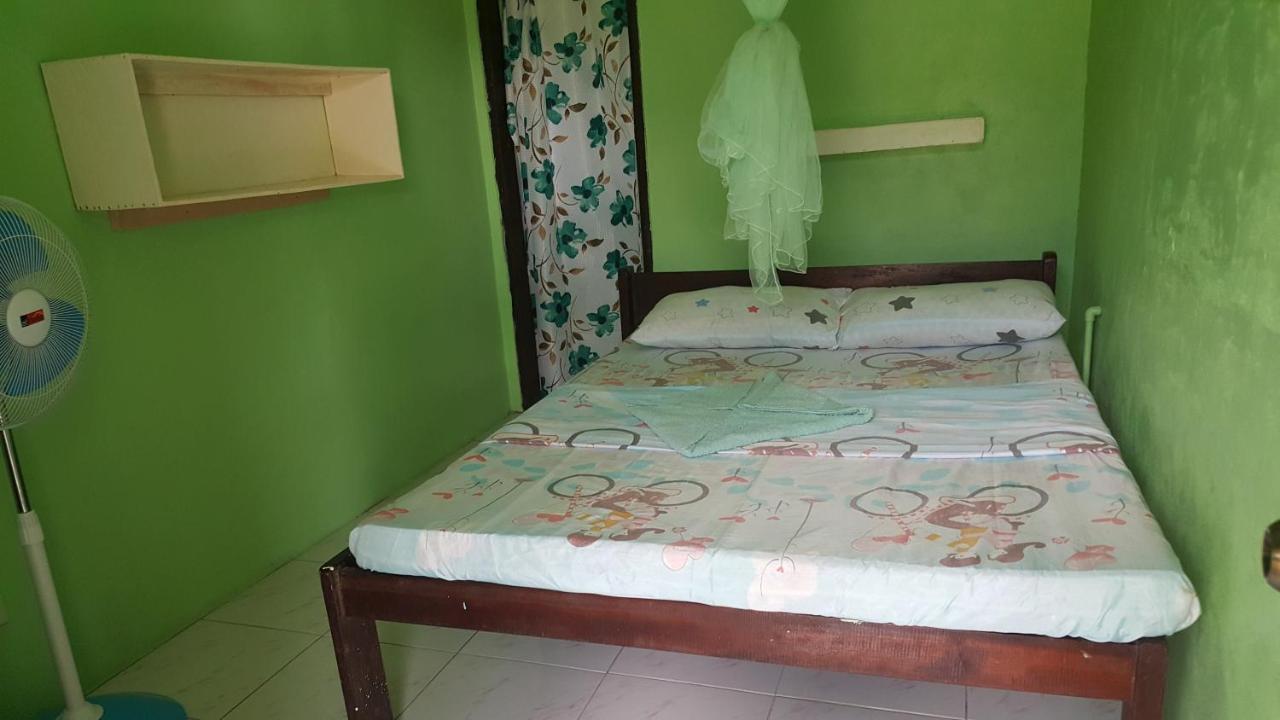 Trisha Lodging House San Vicente  Luaran gambar